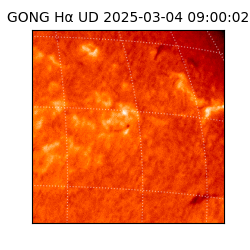 gong - 2025-03-04T09:00:02