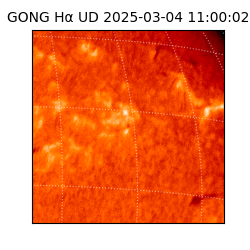 gong - 2025-03-04T11:00:02