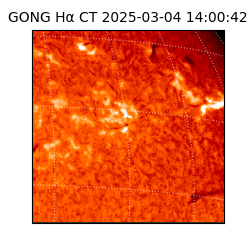 gong - 2025-03-04T14:00:42