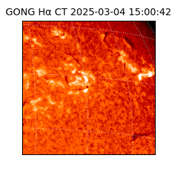 gong - 2025-03-04T15:00:42