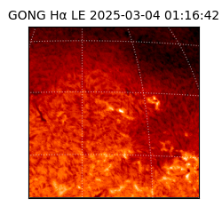 gong - 2025-03-04T01:16:42