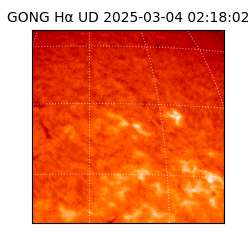 gong - 2025-03-04T02:18:02