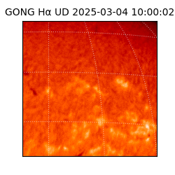 gong - 2025-03-04T10:00:02