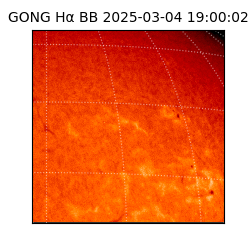 gong - 2025-03-04T19:00:02