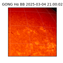 gong - 2025-03-04T21:00:02