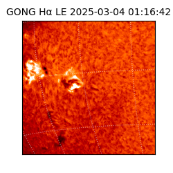 gong - 2025-03-04T01:16:42