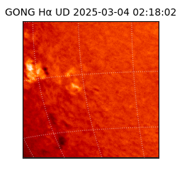 gong - 2025-03-04T02:18:02