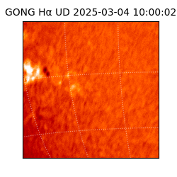 gong - 2025-03-04T10:00:02