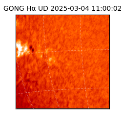 gong - 2025-03-04T11:00:02