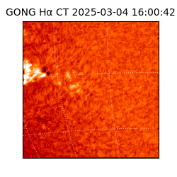 gong - 2025-03-04T16:00:42