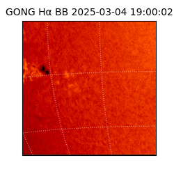 gong - 2025-03-04T19:00:02