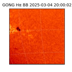 gong - 2025-03-04T20:00:02