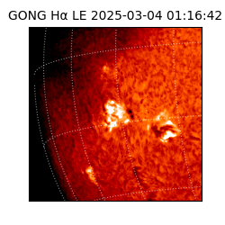 gong - 2025-03-04T01:16:42
