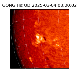 gong - 2025-03-04T03:00:02