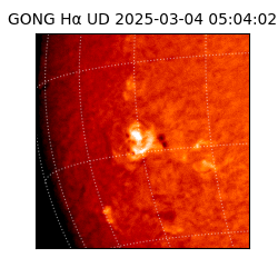 gong - 2025-03-04T05:04:02