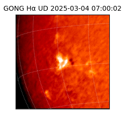 gong - 2025-03-04T07:00:02