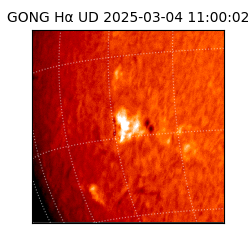 gong - 2025-03-04T11:00:02