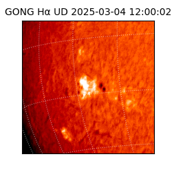 gong - 2025-03-04T12:00:02