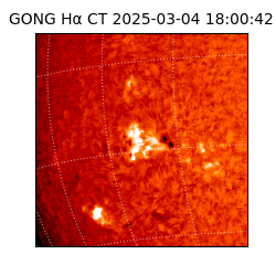 gong - 2025-03-04T18:00:42