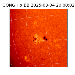 gong - 2025-03-04T20:00:02