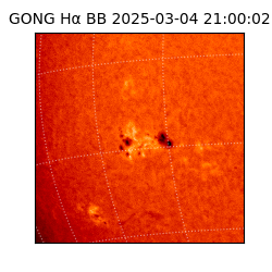 gong - 2025-03-04T21:00:02