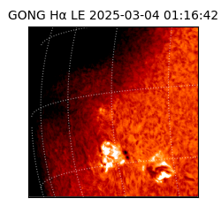 gong - 2025-03-04T01:16:42