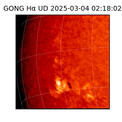 gong - 2025-03-04T02:18:02