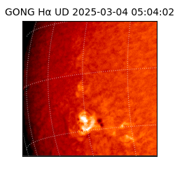 gong - 2025-03-04T05:04:02