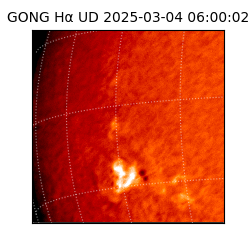 gong - 2025-03-04T06:00:02