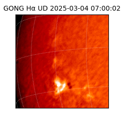 gong - 2025-03-04T07:00:02