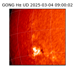 gong - 2025-03-04T09:00:02