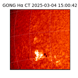 gong - 2025-03-04T15:00:42