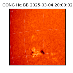 gong - 2025-03-04T20:00:02