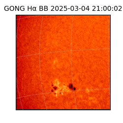 gong - 2025-03-04T21:00:02