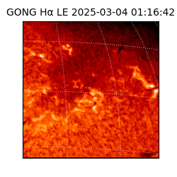 gong - 2025-03-04T01:16:42