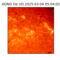 gong - 2025-03-04T05:04:02