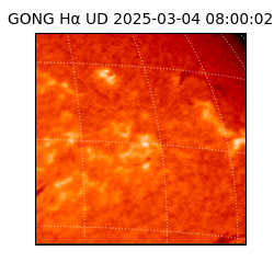 gong - 2025-03-04T08:00:02