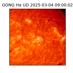 gong - 2025-03-04T09:00:02