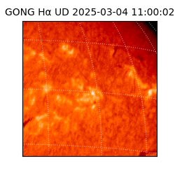 gong - 2025-03-04T11:00:02