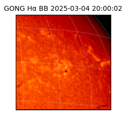 gong - 2025-03-04T20:00:02