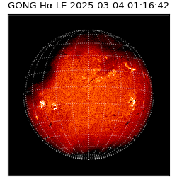 gong - 2025-03-04T01:16:42