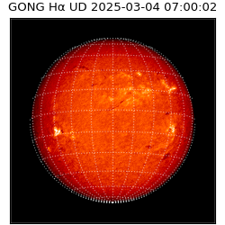 gong - 2025-03-04T07:00:02