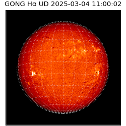 gong - 2025-03-04T11:00:02