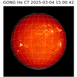 gong - 2025-03-04T15:00:42