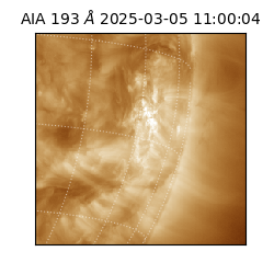 saia - 2025-03-05T11:00:04.842000