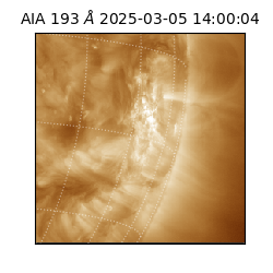 saia - 2025-03-05T14:00:04.843000
