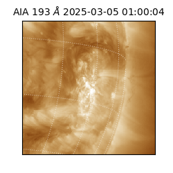 saia - 2025-03-05T01:00:04.843000