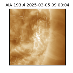 saia - 2025-03-05T09:00:04.843000