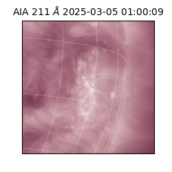 saia - 2025-03-05T01:00:09.632000