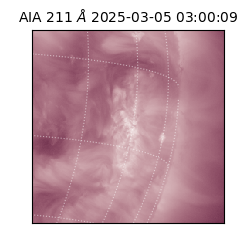 saia - 2025-03-05T03:00:09.632000